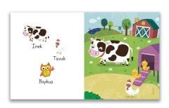 Baby Find It - Bu Hayvanlar Nerede Yaşar?