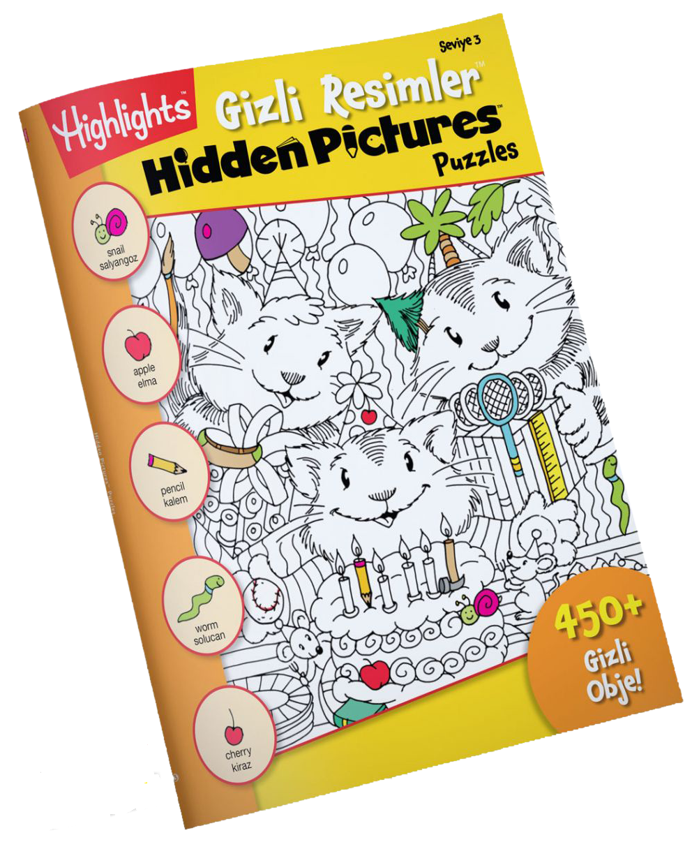 Hidden Pictures Gizli Resimler Seviye 3