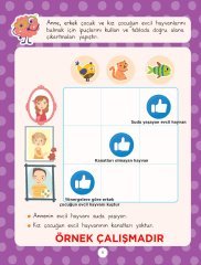 Akıl Yürütme ve Mantıksal Düşünme Becerisi Etkinlikleri