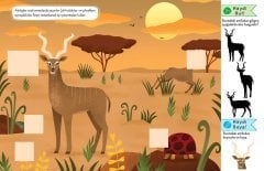 Dikkat Atölyesi Yayınları Doğal Yaşamda Safari