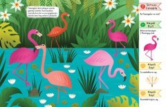 Dikkat Atölyesi Yayınları Doğal Yaşamda Safari