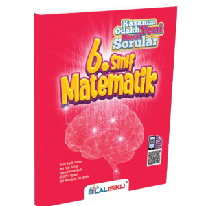 Bilal Işıklı Yayınları 6.Sınıf Matematik Beyin Fırtınası Uygulaması Soru Bankası